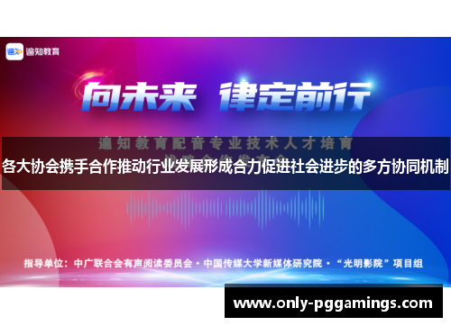 各大协会携手合作推动行业发展形成合力促进社会进步的多方协同机制