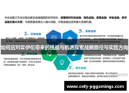 如何应对霍伊伦带来的挑战与机遇探索战略路径与实践方向
