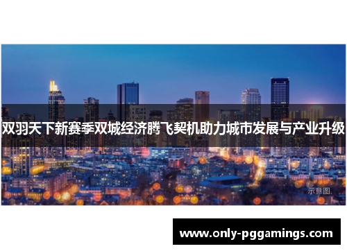 双羽天下新赛季双城经济腾飞契机助力城市发展与产业升级