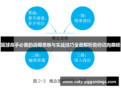 篮球高手必备的战略思维与实战技巧全面解析助你迈向巅峰