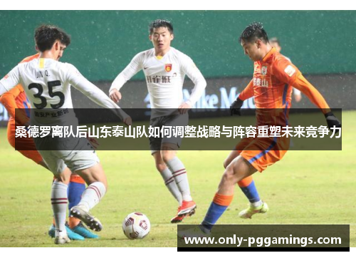 桑德罗离队后山东泰山队如何调整战略与阵容重塑未来竞争力