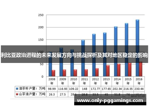 利比亚政治进程的未来发展方向与挑战探析及其对地区稳定的影响
