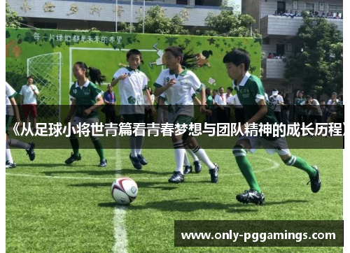 《从足球小将世青篇看青春梦想与团队精神的成长历程》