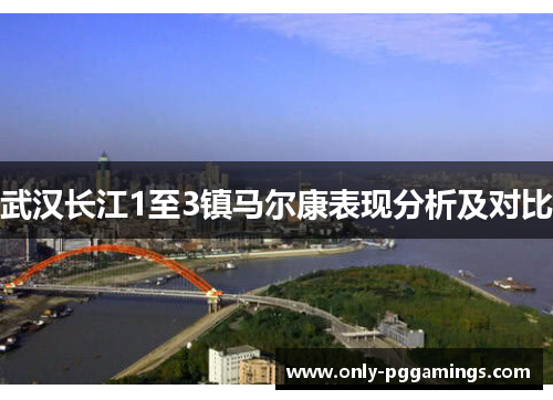 武汉长江1至3镇马尔康表现分析及对比