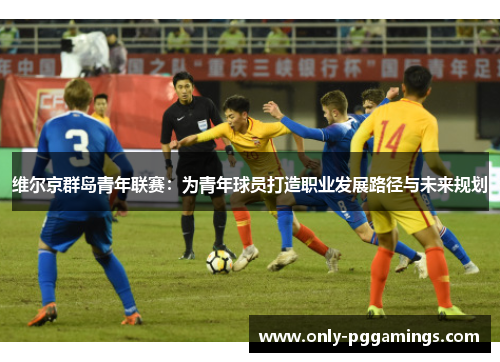 维尔京群岛青年联赛：为青年球员打造职业发展路径与未来规划